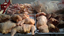 Picture of some frozen chicken parts
