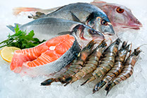 picture of frozen fish, shrimp, fish fillet